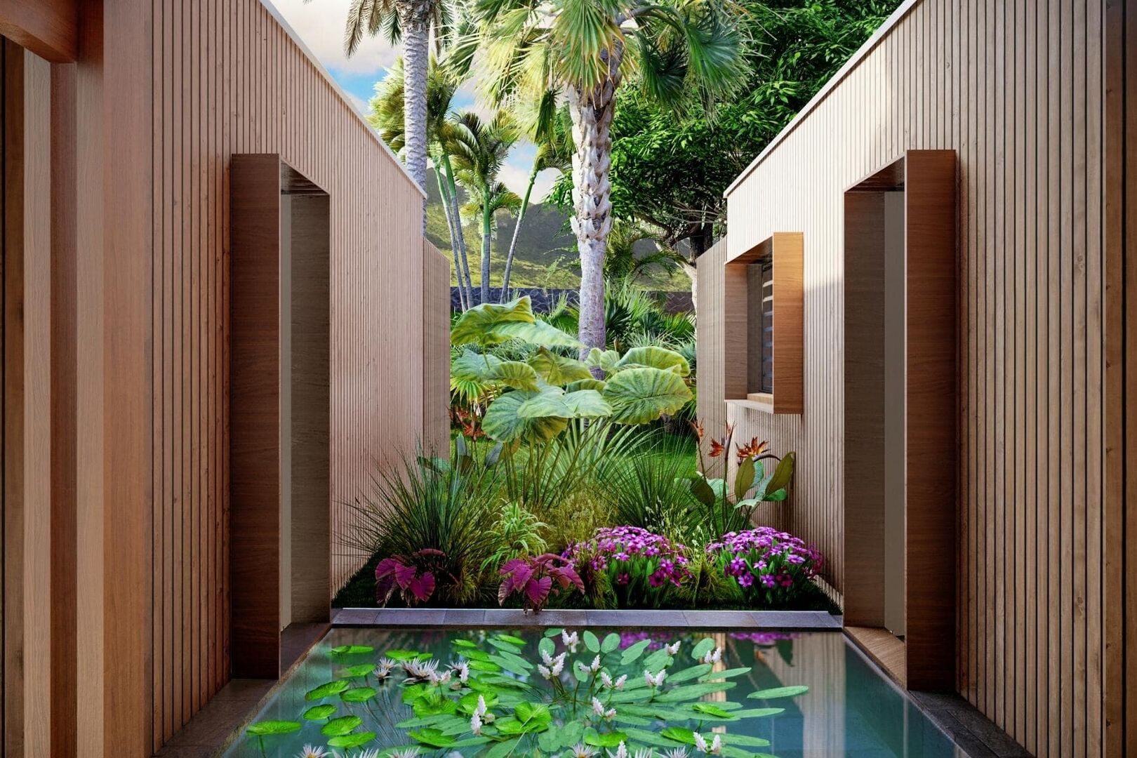 Patio et bassin végétalisé